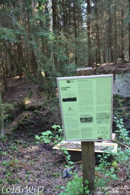 ©Fabrik im Wald bei Schelploh (3)