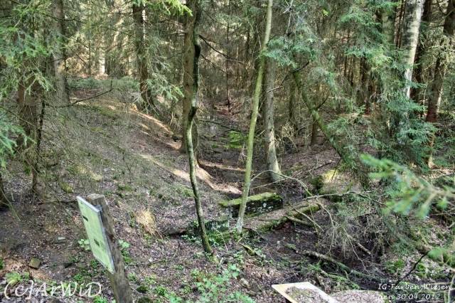 ©Fabrik im Wald bei Schelploh (4)