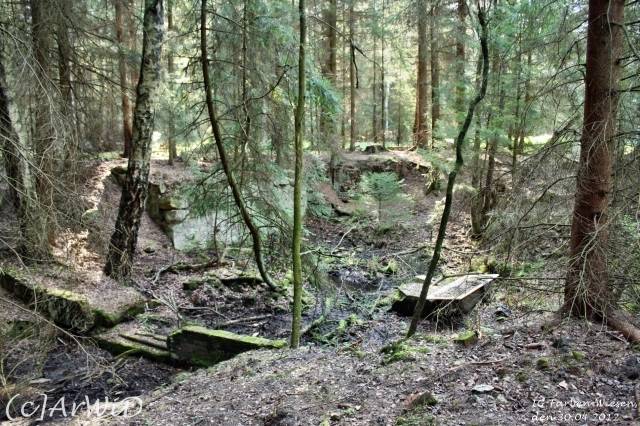 ©Fabrik im Wald bei Schelploh (6)