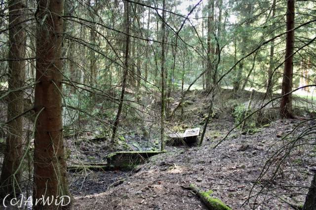 ©Fabrik im Wald bei Schelploh (7)