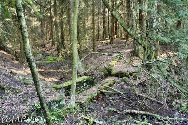 ©Fabrik im Wald bei Schelploh (9)