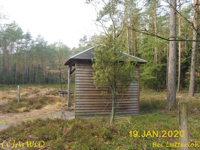 ©Neue Schutzhütte Schillohsberg (4)