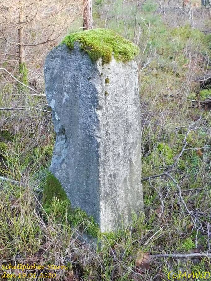 ©Stele Schelploherstern (1)