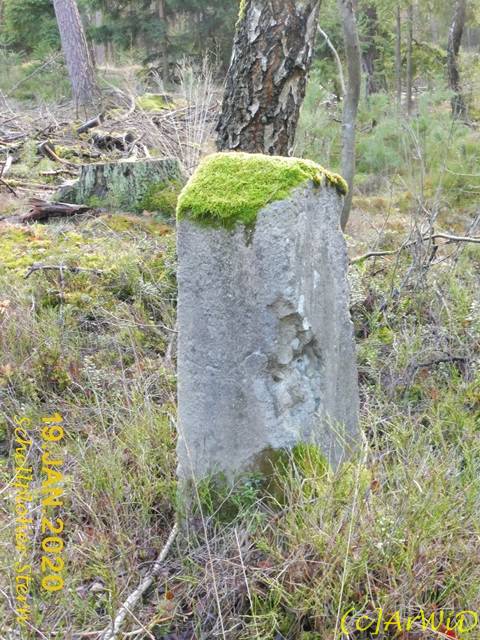 ©Stele Schelploherstern (2)