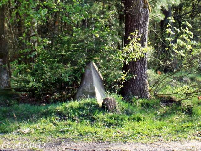 ©Umgefahrener Wegweiser Lohe (2)