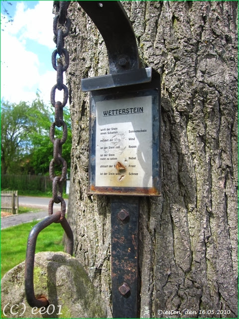 ©Wetterstation Diesten (2)