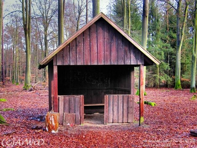 ©Ehemailge Schützhütte Siedenholzbahn (1)