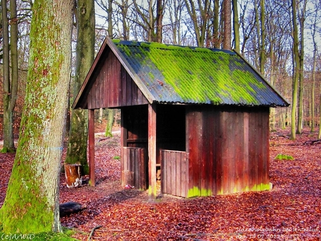 ©Ehemailge Schützhütte Siedenholzbahn (4)