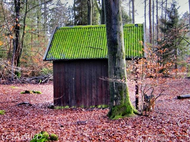 ©Ehemailge Schützhütte Siedenholzbahn (5)