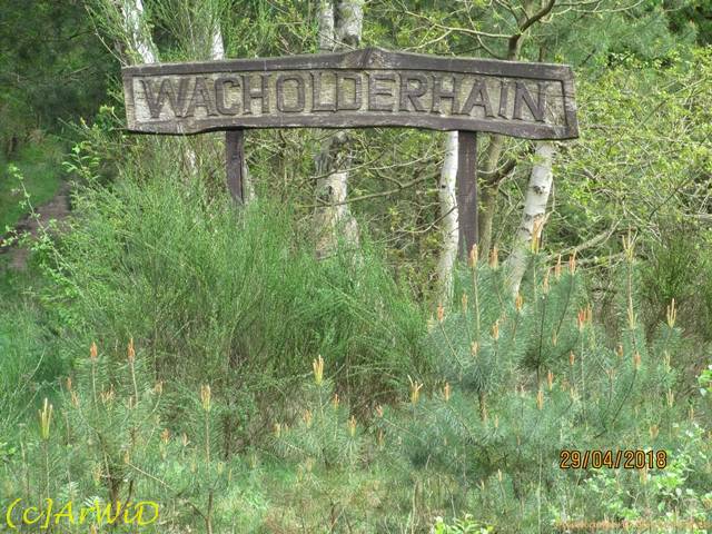 ©Fundamente Quarmühle (1)