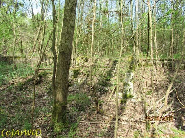 ©Fundamente Quarmühle (12)