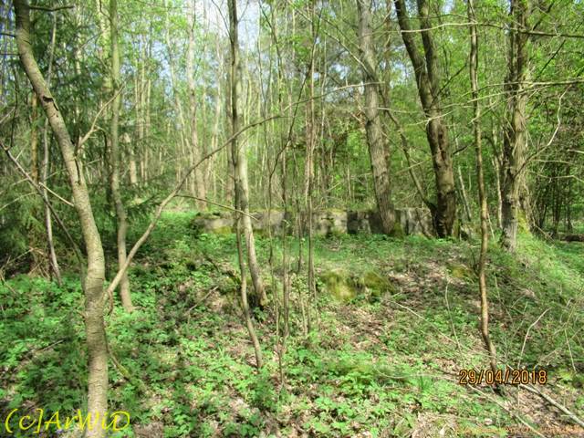 ©Fundamente Quarmühle (13)