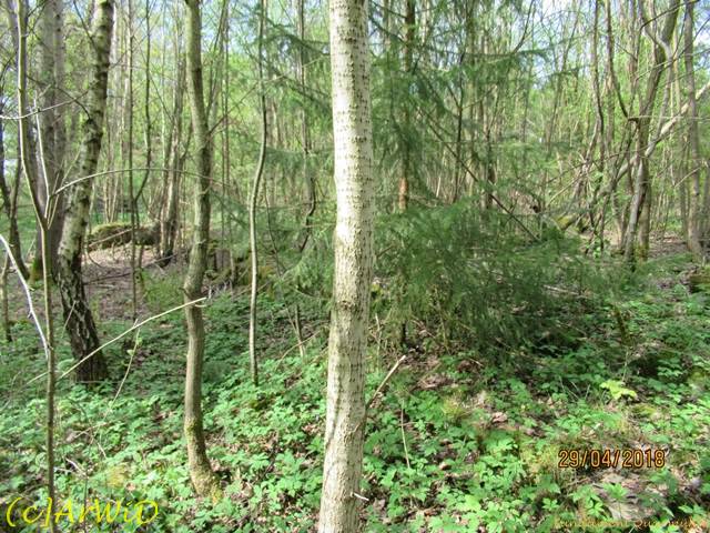 ©Fundamente Quarmühle (14)