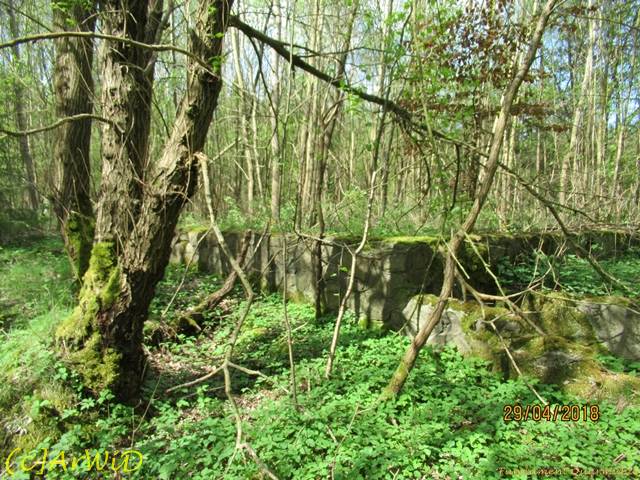 ©Fundamente Quarmühle (16)