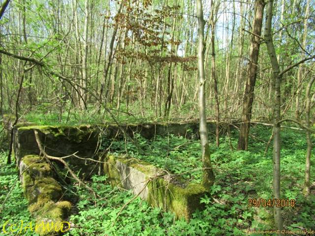 ©Fundamente Quarmühle (17)