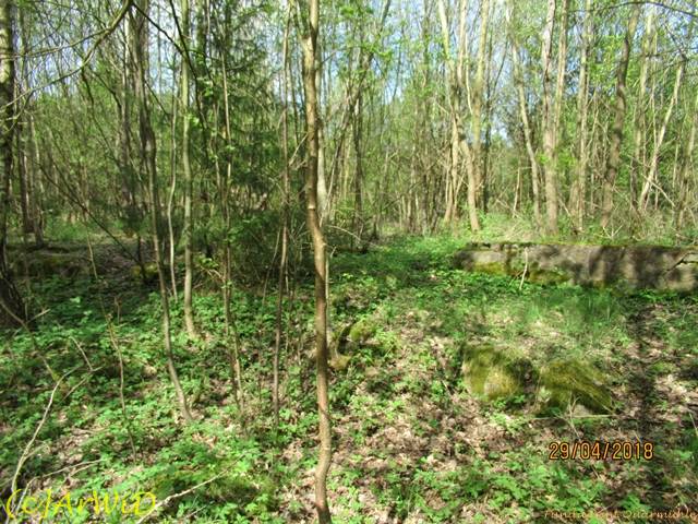 ©Fundamente Quarmühle (19)