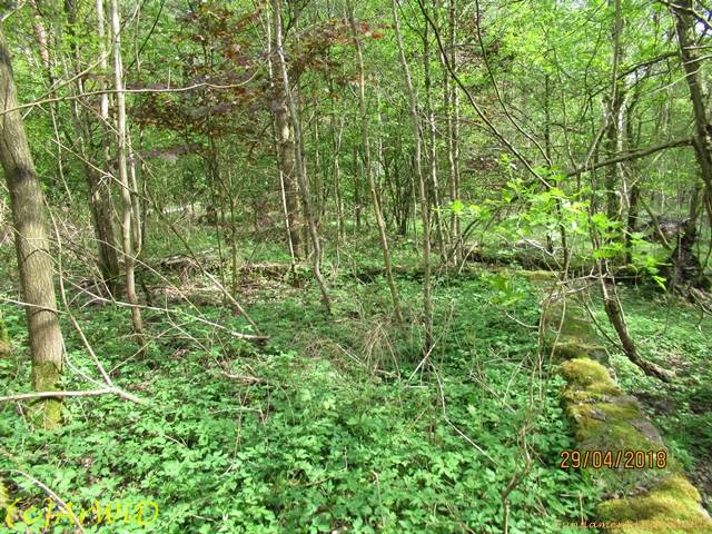 ©Fundamente Quarmühle (20)