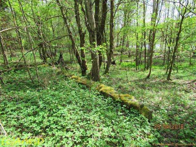 ©Fundamente Quarmühle (21)