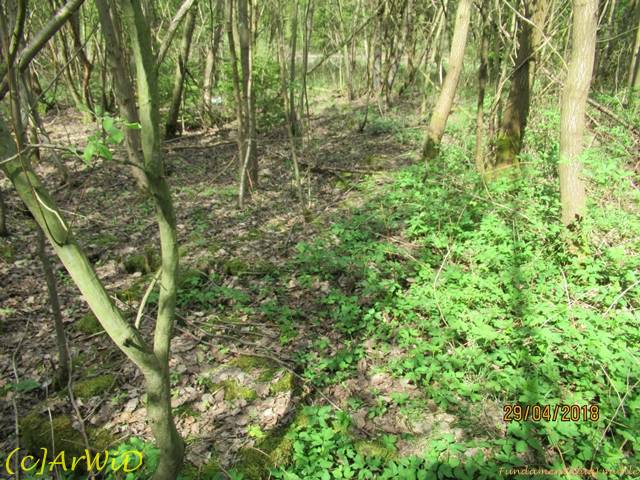 ©Fundamente Quarmühle (22)