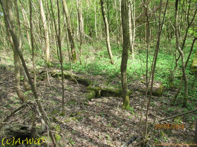 ©Fundamente Quarmühle (23)