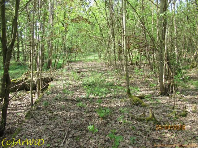 ©Fundamente Quarmühle (24)