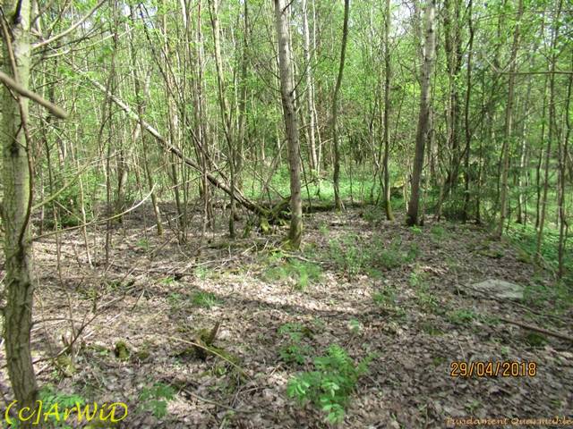 ©Fundamente Quarmühle (25)