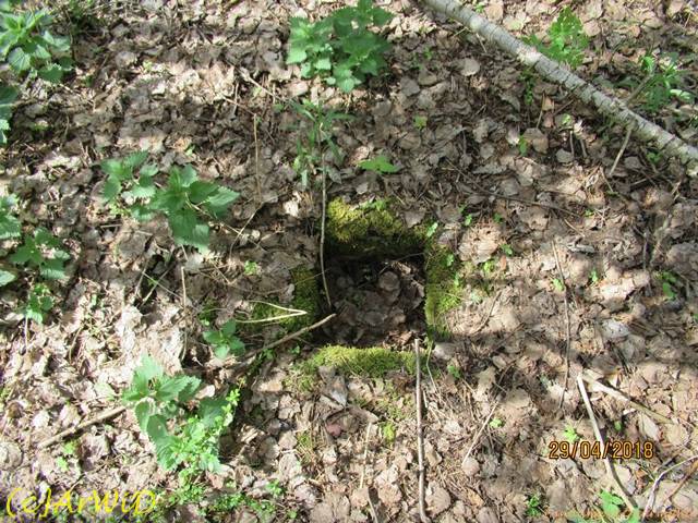 ©Fundamente Quarmühle (27)