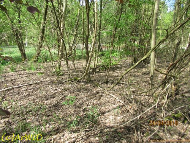 ©Fundamente Quarmühle (28)