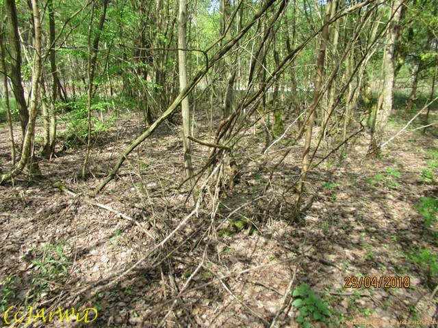 ©Fundamente Quarmühle (29)