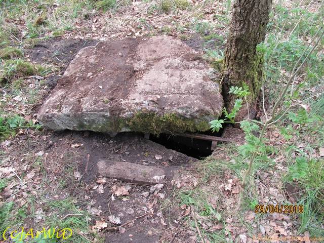 ©Fundamente Quarmühle (4)