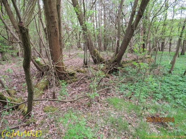 ©Fundamente Quarmühle (5)