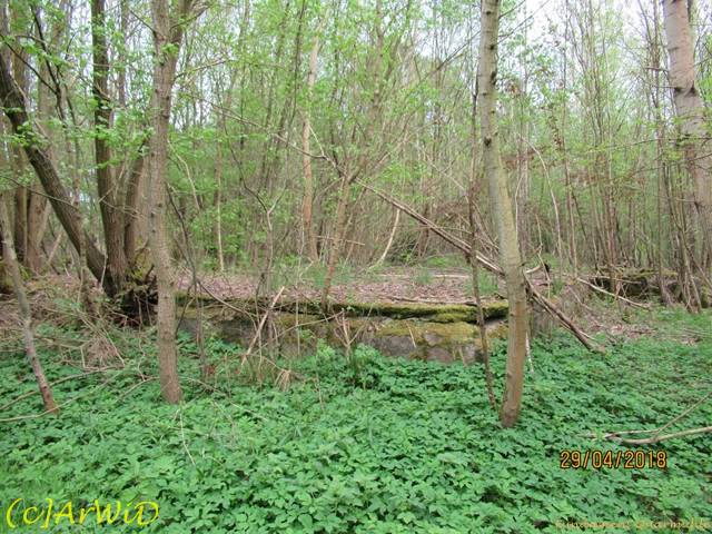 ©Fundamente Quarmühle (6)