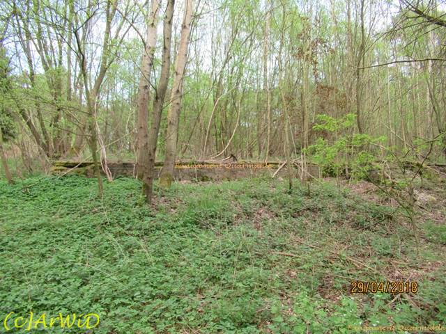 ©Fundamente Quarmühle (7)