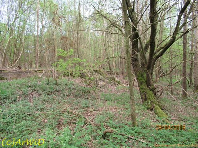 ©Fundamente Quarmühle (8)