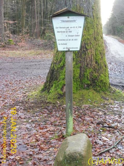 ©Schild Tilemannseiche