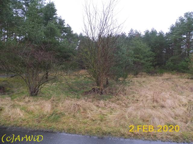 ©Alte und neues Leben Raakamp (1)