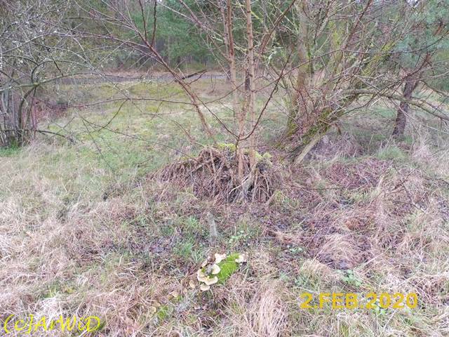 ©Alte und neues Leben Raakamp (2)