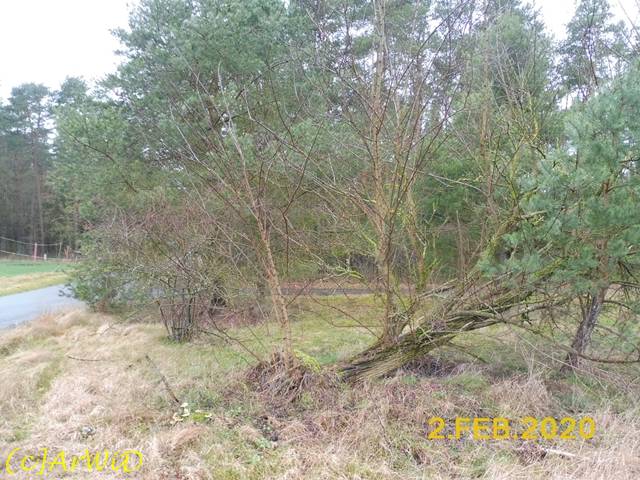 ©Alte und neues Leben Raakamp (3)