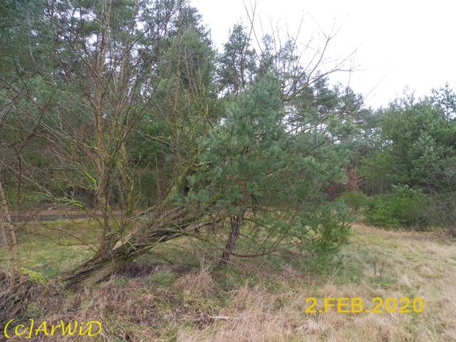 ©Alte und neues Leben Raakamp (4)