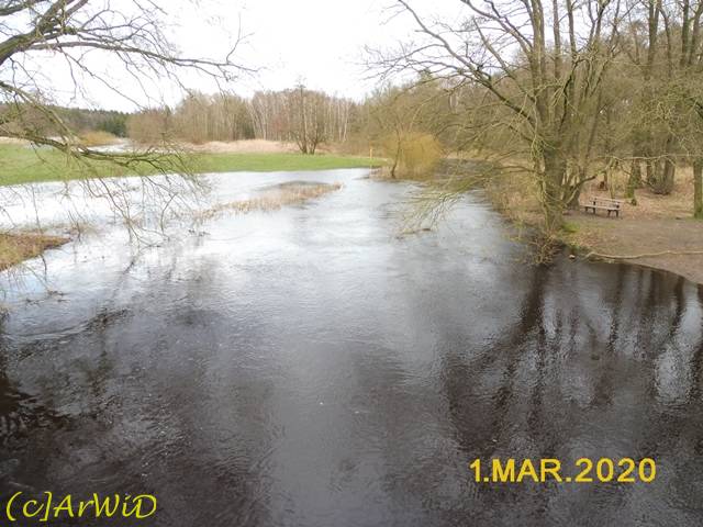 ©Überflutete Örtze (1)