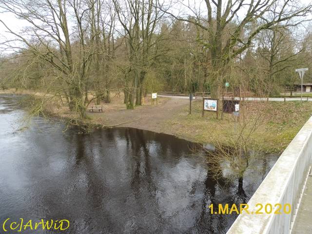 ©Überflutete Örtze (2)