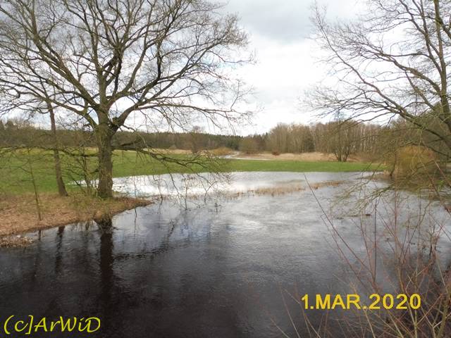 ©Überflutete Örtze (3)