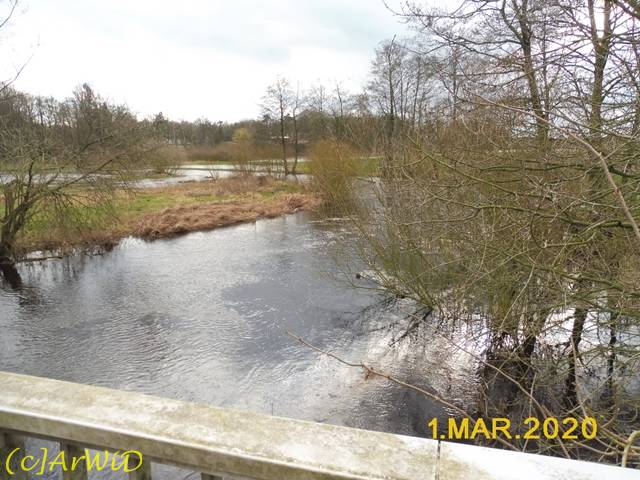 ©Überflutete Örtze (4)