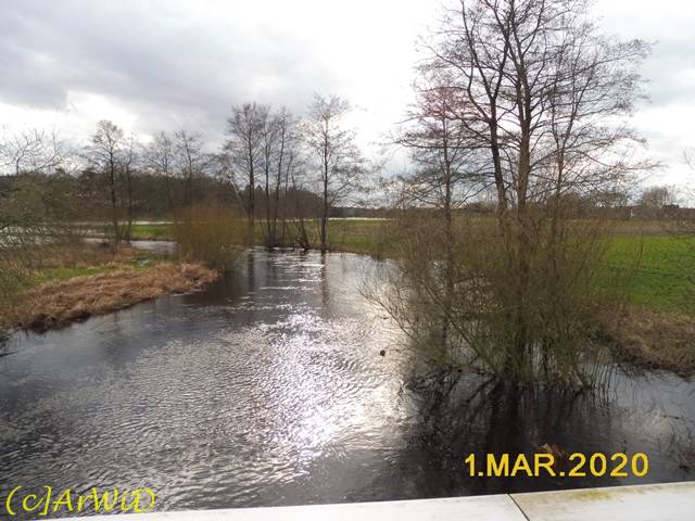 ©Überflutete Örtze (5)