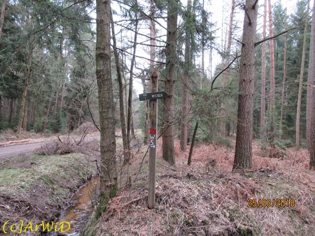 ©Hölzerner Wegweiser am Graben (2)