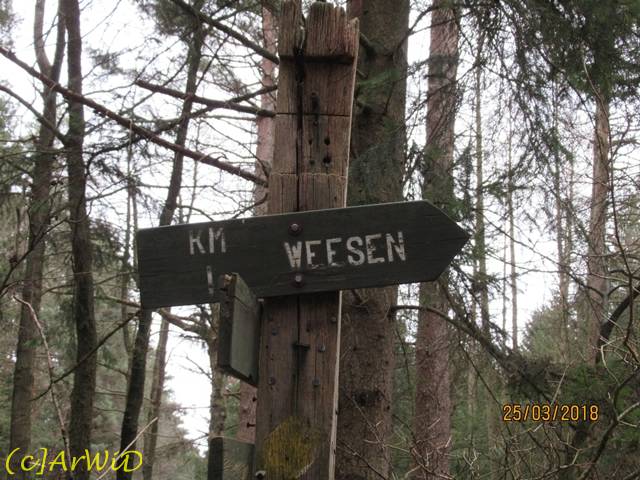 ©Hölzerner Wegweiser am Graben (3)