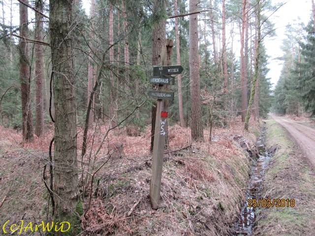 ©Hölzerner Wegweiser am Graben (5)