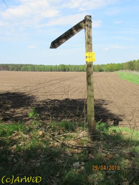 ©Hölzerner Wegweiser Starkshorn (3)