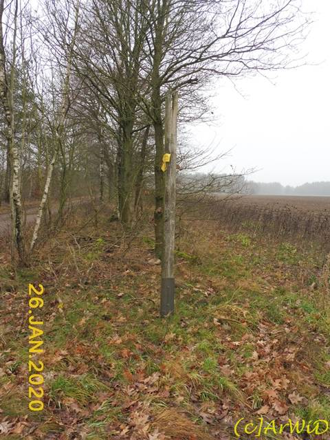 ©Hölzerner Wegweiser Starkshorn (6)