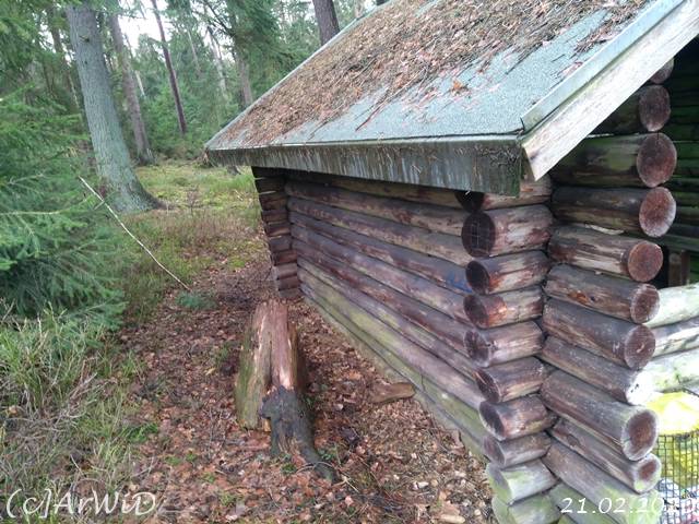 ©Schutzhütte am Hang (10)